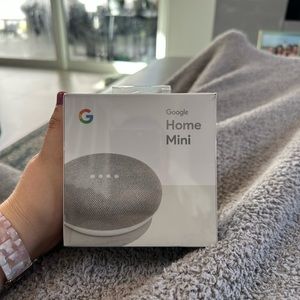 NWT Google Home Mini
